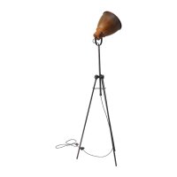 Stehlampe Beasly in Rost, H&ouml;he 167 cm